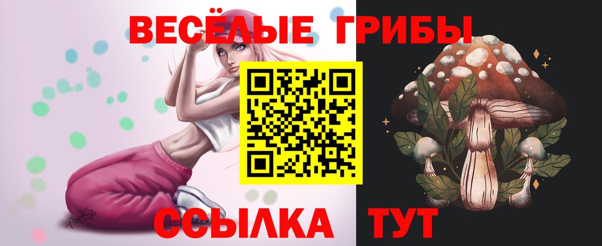 Галлюциногенные грибы GOLDEN TEACHER  Вход с VPN  Губаха 