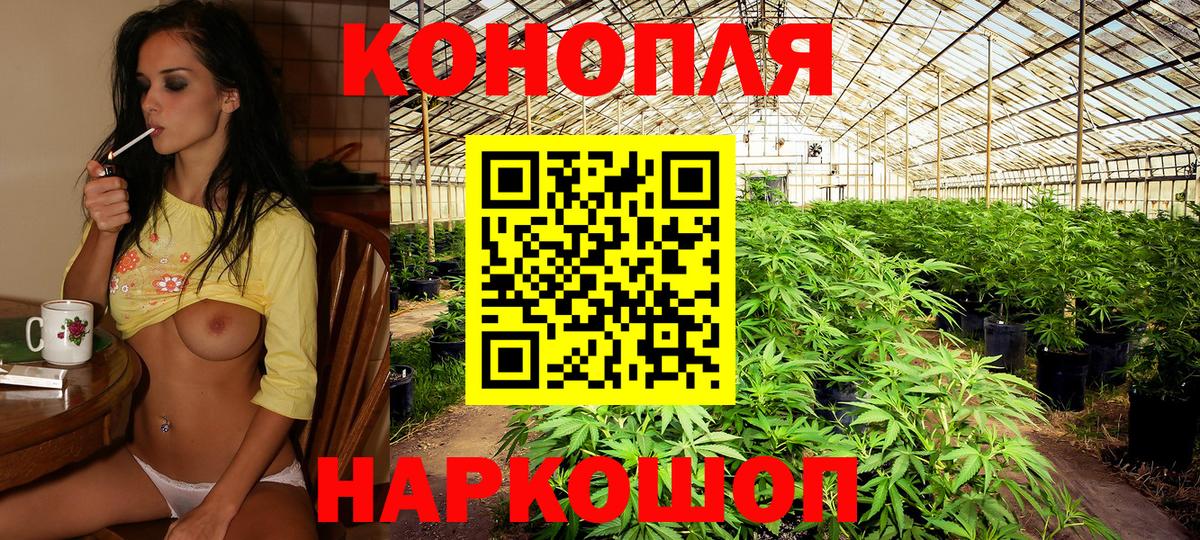 Каннабис план  Канабис THC 21%  Бошки марихуана конопля  Губаха  Вход с VPN 
